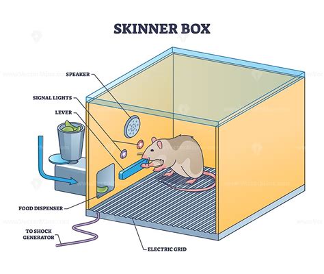 skinner box replica shoe box|what is skinner box.